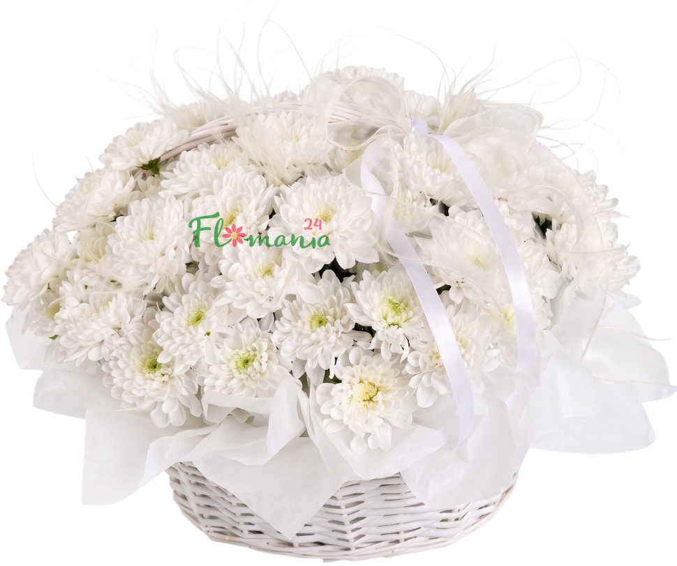 Корзина с белыми хризантемами «Снежная королева»